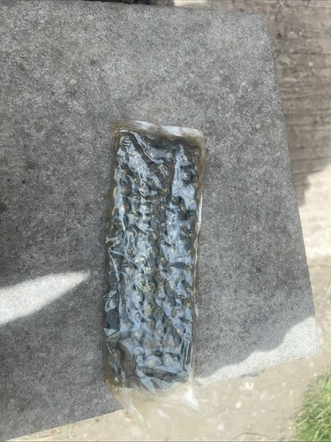 Nos mountain bike chain still - mountain,